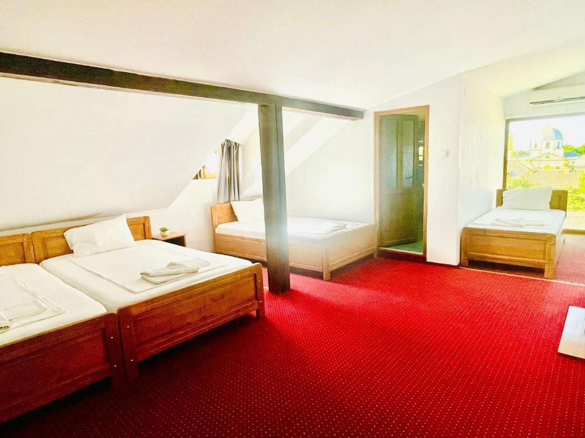 Zen Eco Villa Sfântu Gheorghe Eksteriør bilde